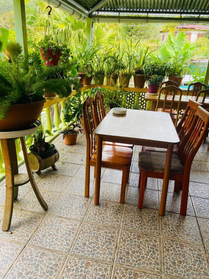 Chambres D'Hotes L'Orchidee Rose سالازي المظهر الخارجي الصورة