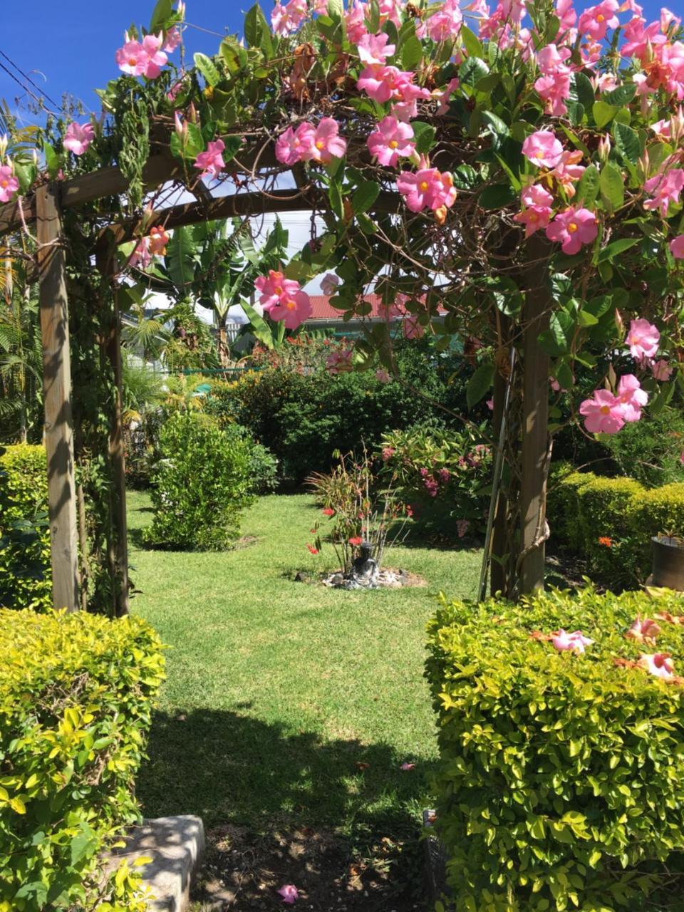 Chambres D'Hotes L'Orchidee Rose سالازي المظهر الخارجي الصورة